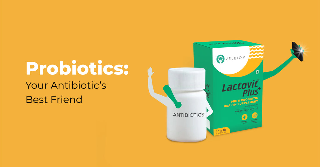 Probiotic protection for antibiotic action